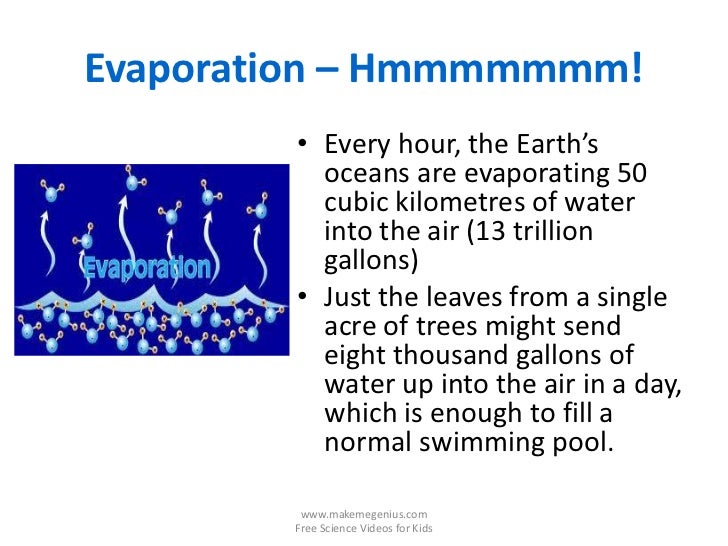 facts about evaporation