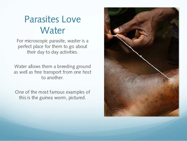 Water Facts