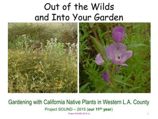 Project SOUND 2015 (c)
Out of the Wilds
and Into Your Garden
Gardening with California Native Plants in Western L.A. County
Project SOUND – 2015 (our 11th year)
1
 