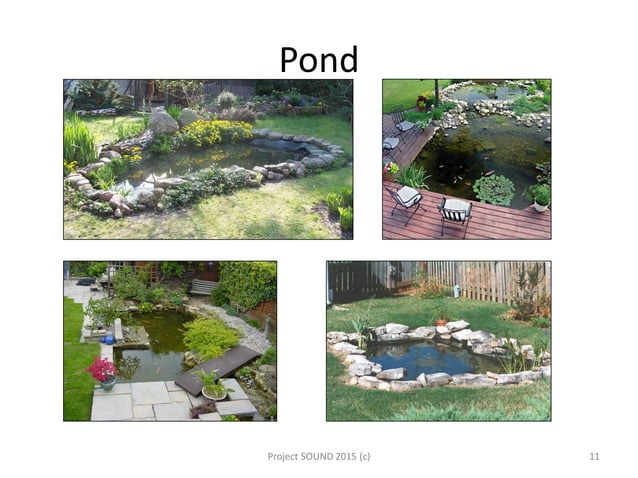 Water features | PPT