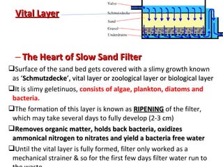 Vital Layer

– The Heart of Slow Sand Filter
Surface of the sand bed gets covered with a slimy growth known
as ‘Schmutzdecke’, vital layer or zoological layer or biological layer
It is slimy geletinuos, consists of algae, plankton, diatoms and
bacteria.
The formation of this layer is known as RIPENING of the filter,
which may take several days to fully develop (2-3 cm)
Removes organic matter, holds back bacteria, oxidizes
ammonical nitrogen to nitrates and yield a bacteria free water
Until the vital layer is fully formed, filter only worked as a
mechanical strainer & so for the first few days filter water run to

 