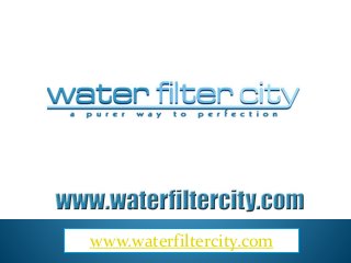 www.waterfiltercity.com
 