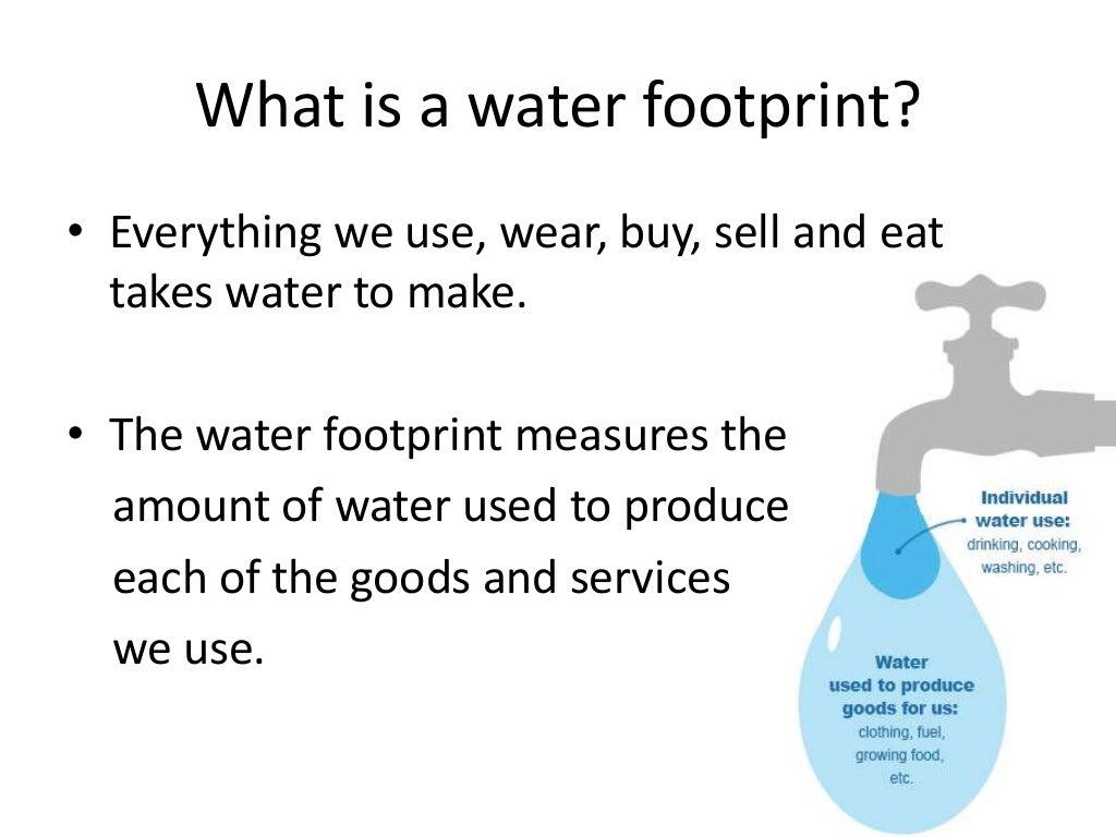 water footprint essay