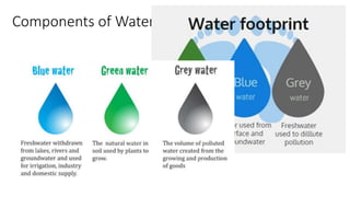 Components of Water Footprint
 