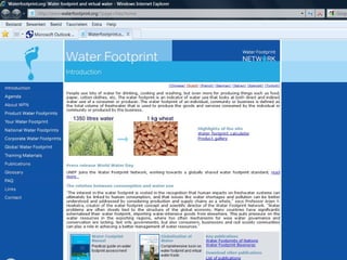 Water footprint 