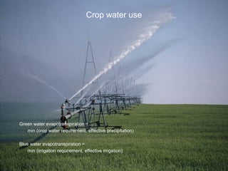 Crop water use 
Green water evapotranspiration = 
min (crop water requirement, effective precipitation) 
Blue water evapotranspiration = 
min (irrigation requirement, effective irrigation) 
 