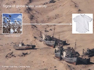 Signs of global water scarcity 
Cotton for export 
Former Aral Sea, Central Asia 
 