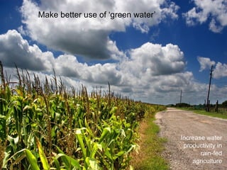 Increase water 
productivity in 
rain-fed 
agriculture 
Make better use of ‘green water’ 
 