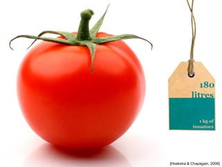 [Hoekstra & Chapagain, 2008]
 