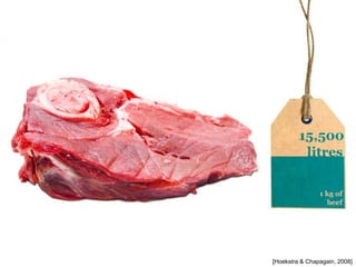 [Hoekstra & Chapagain, 2008]
 