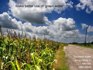 Increase water
productivity in
rain-fed
agriculture
Make better use of ‘green water’
 