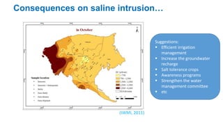 Consequences on saline intrusion… 
(IWMI, 2011) 
Suggestions: 
 Efficient irrigation 
management 
 Increase the groundwater 
recharge 
 Salt tolerance crops 
 Awareness programs 
 Strengthen the water 
management committee 
 etc 
 