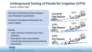 Underground Taming of Floods for Irrigation (UTFI) 
Source: Pavelic 2012 
 