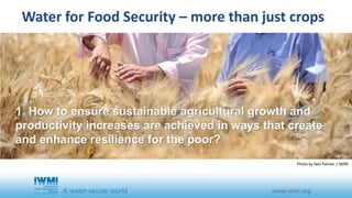 Water for Food Security – more than just crops 
1. How to ensure sustainable agricultural growth and 
productivity increases are achieved in ways that create 
and enhance resilience for the poor? 
Photo by Neil Palmer / IWMI 
 
