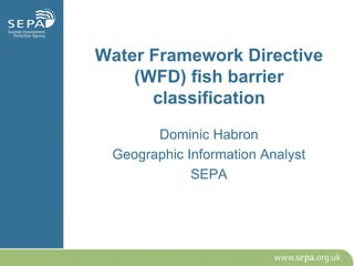 Water Framework Directive
(WFD) fish barrier
classification
Dominic Habron
Geographic Information Analyst
SEPA
 
