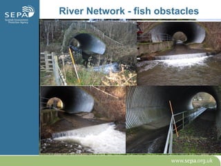 River Network - fish obstacles
 