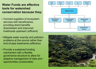 Water Fund Roes Water Funds | PPTX