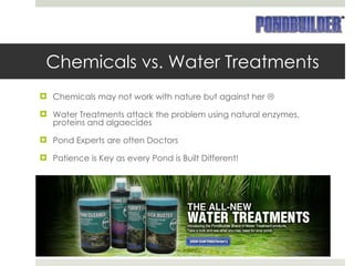 Chemicals vs. Water Treatments Chemicals may not work with nature but against her   Water Treatments attack the problem using natural enzymes, proteins and algaecides  Pond Experts are often Doctors Patience is Key as every Pond is Built Different! 