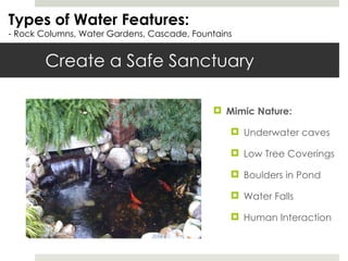 Create a Safe Sanctuary Types of Water Features: - Rock Columns, Water Gardens, Cascade, Fountains Mimic Nature: Underwater caves Low Tree Coverings Boulders in Pond Water Falls Human Interaction 