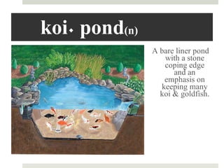 koi ٠ pond  (n) A bare liner pond with a stone coping edge and an emphasis on keeping many koi & goldfish. 