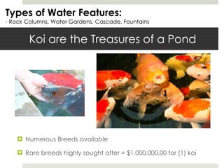 Koi are the Treasures of a Pond Numerous Breeds available Rare breeds highly sought after = $1,000,000.00 for (1) koi Types of Water Features: - Rock Columns, Water Gardens, Cascade, Fountains 