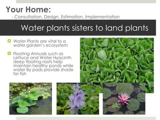 Water plants sisters to land plants Water Plants are vital to a water garden’s ecosystem Floating Annuals such as Lettuce and Water Hyacinth deep floating roots help maintain healthy ponds while water lily pads provide shade for fish Your Home: - Consultation, Design, Estimation, Implementation 
