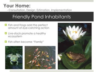 Friendly Pond Inhabitants  Fish and Frogs add the perfect amount of eye-catching action Live-stock promote a healthy ecosystem Fish often become “Family” Your Home: - Consultation, Design, Estimation, Implementation 
