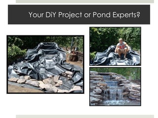Your DiY Project or Pond Experts? 