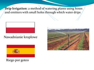 Drip Irrigation: a method of watering plants using hoses
and emitters with small holes through which water drips
Riego por goteo
Nawadnianie kroplowe
 