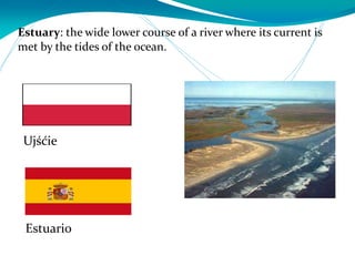 Estuary: the wide lower course of a river where its current is
met by the tides of the ocean.
Estuario
Ujśćie
 