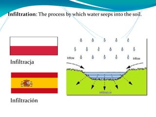 Infiltration: The process by which water seeps into the soil.
Infiltración
Infiltracja
 