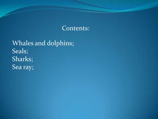 Contents:
Whales and dolphins;
Seals;
Sharks;
Sea ray;

 