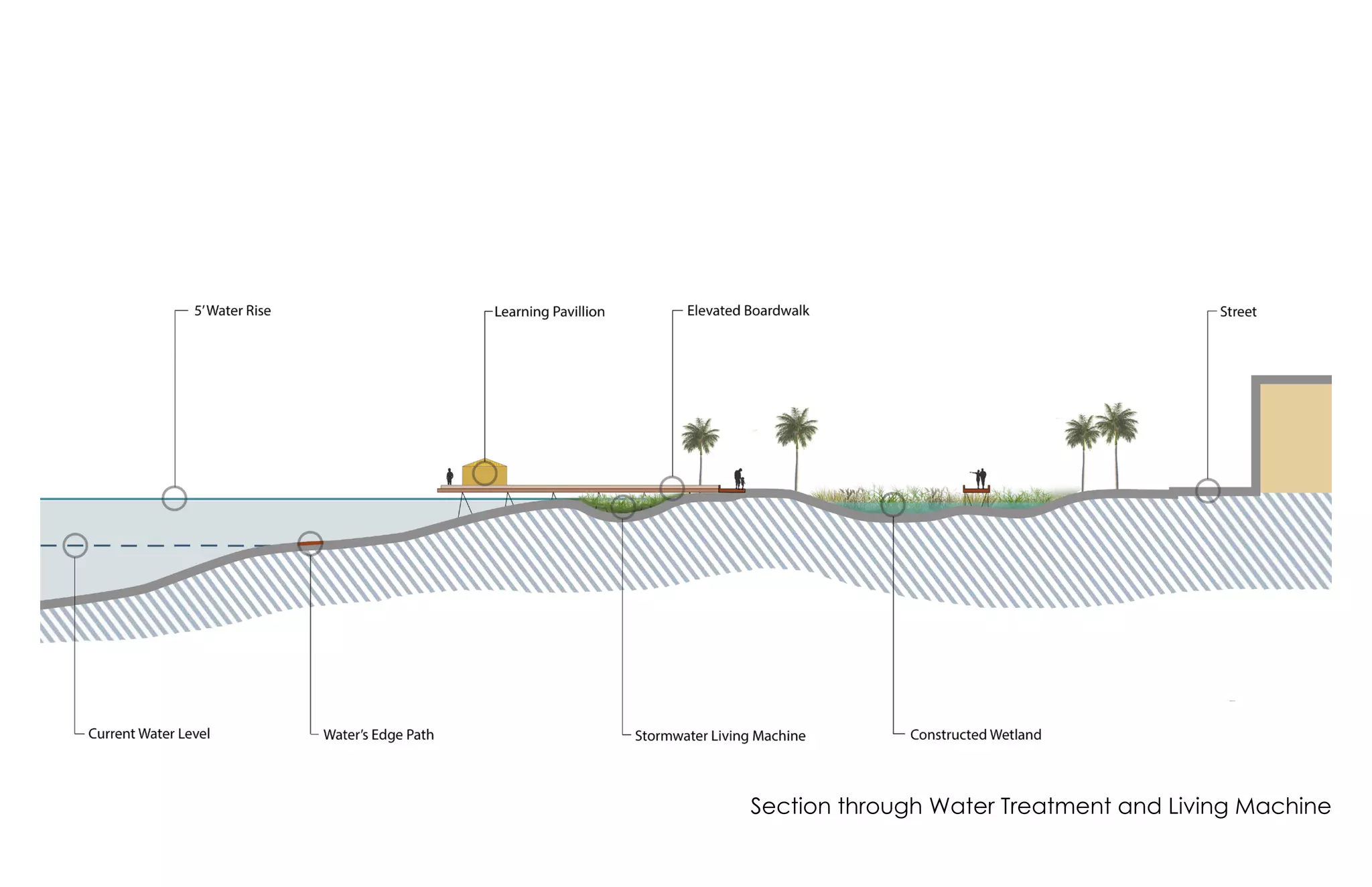 Section through Water Treatment and Living Machine