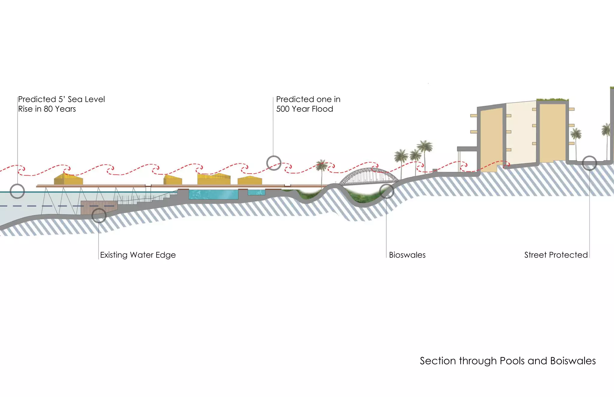 Existing Water Edge
Predicted 5’ Sea Level
Rise in 80 Years
Predicted one in
500 Year Flood
Bioswales Street Protected
Section through Pools and Boiswales