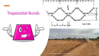 Trapezoidal Bunds
JNKVV- College of Agriculture, Powarkheda 14
 