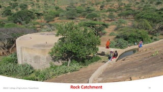 JNKVV- College of Agriculture, Powarkheda 18Rock Catchment
 