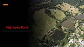 High Level Pond
 