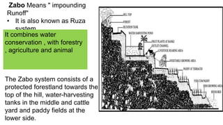 Zabo Means " impounding
Runoff"
• It is also known as Ruza
system .
It combines water
conservation , with forestry
, agriculture and animal
The Zabo system consists of a
protected forestland towards the
top of the hill, water-harvesting
tanks in the middle and cattle
yard and paddy fields at the
lower side.
 
