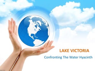 LAKE VICTORIA 
Confronting The Water Hyacinth 
ROBERT BOB OKELLO 
 