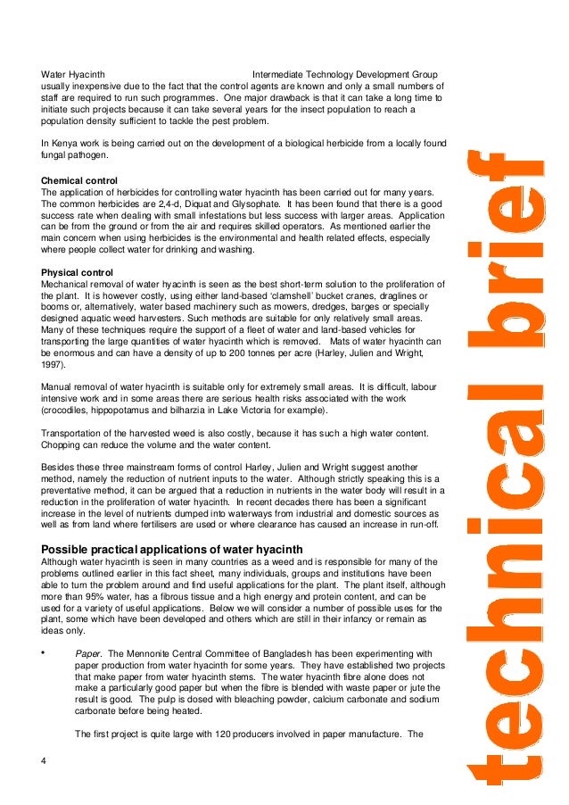 Water hyacinth control