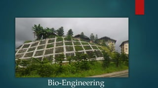 Bio-Engineering
 