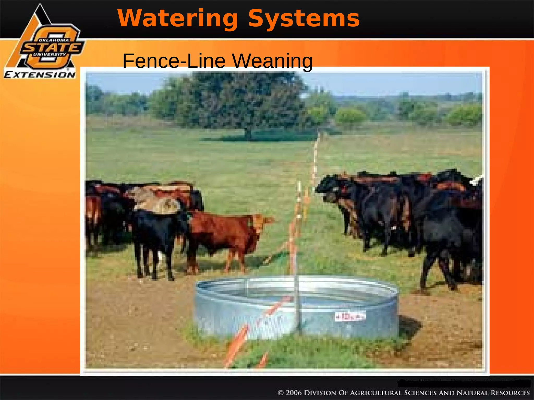 Watering Systems
Fence-Line Weaning

 