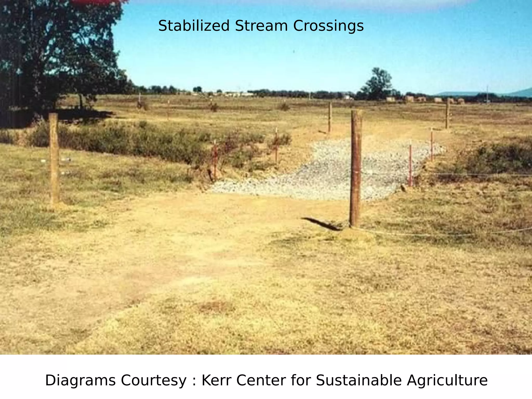 Stabilized Stream Crossings

Diagrams Courtesy : Kerr Center for Sustainable Agriculture

 