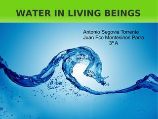 WATER IN LIVING BEINGS
Antonio Segovia Torrente
Juan Fco Montesinos Parra
3º A
 