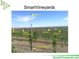 SmartVineyards
 