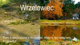Wrzelowiec
There is also a source in Wrzelowiec. Water is very clean here.
It’s beautiful!
 