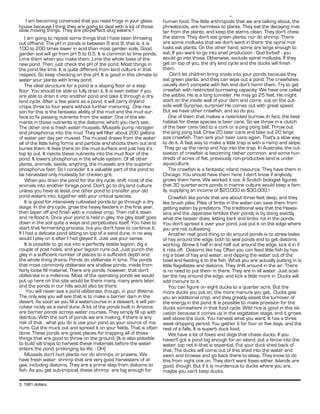 Water in Permaculture - Pamphlet XI - Page 5.
     I am becoming convinced that you need frogs in your glass-         human food. The little arthropods that we are talking about, the
house because I think they are going to deal with a lot of those        phreatocids, are harmless to plants. They eat the decaying mat-
slow moving things. They are plu-perfect slug eaters.2                  ter from the plants, and keep the stems clean. They don't chew
    I am going to repeat some things that I have been throwing          the stems. They don't eat green plants, nor do shrimp. There
out offhand. The pH in ponds is between 6 and 8, that is, it is         are some mollusks that we don't want in there: the spiral mol-
100 to 200 times lower in acid than most garden soils. Good             lusks eat plants. On the other hand, some are large enough to
garden soil will go from pH 5 to 6.5. It is common to lime ponds.       eat. If you want to go into snail production - God forbid! - you
Lime them when you make them. Lime the whole base of the                would go into those. Otherwise, exclude spiral mollusks. If they
new pond. Then, just check the pH of the pond. Most things in           get on top of you, the dry land cycle and the ducks will finish
the pond like lime. It is quite different from land culture in that     them.
respect. So keep checking on this pH. It is good in this climate to          Don't let children bring snails into your ponds because they
water your plants with limey pond.                                      eat green plants, and they can wipe out a pond. The crawfishes
    The ideal structure for a pond is a sloping floor or a step         usually don't compete with fish and don't harm them. Try to get
floor. You should be able to fully drain it. It is even better if you   crawfish with restricted burrowing capacity. We have one called
are able to drain it into another pond and take it through a dry-       the yabbie. He is a long tunneler. He may go 25 feet. He might
land cycle. After a few years as a pond, it will carry dryland          start on the inside wall of your dam and come out on the out-
crops three to four years without further manuring. One rea-            side wall! Surprise, surprise! He comes out with great speed.
son for this is the fantastic ability of the mud and the mud sur-       But we have other crawfish, and so do you.
face to fix passing nutrients from the water. One of the ele-               One of them that makes a restricted burrow. In fact, the best
ments in those nutrients is the diatoms, which you can't see,           habitat for these species is beer cans. So we throw in a clutch
The other one is fresh water mussels. Mussels pump nitrogen             of the beer cans tied to a cork or a ping pong ball. Throw out
and phosphorus into the mud. They will filter about 200 gallons         the ping pong ball. Draw 20 beer cans and take out 20 large
of water per day per mussel. The mussel draws from the water            size crawfish. Then sink your beer cans again. That's a slow way
all of the little living forms and particle and shoots them out and     to do it. A fast way to make a little trap is with a ramp and slope.
buries them. It lives there on the mud surface and just has it's         They go up the ramp and hop into the trap. In Australia, the cul-
top lip out. It injects these nutrients into the mud floor of the       tivation of crawfish is becoming rather common, and some hun-
pond. It lowers phosphorus in the whole system. Of all other            dreds of acres of flat, previously non-productive land is under
plants, animals, seeds, anything, the mussels are the superior          aquaculture.
phosphorus fixer. So I consider it a valuable part of the pond to           The crawfish is a fantastic inland resource. They have them in
be harvested only modestly for chicken grit.                            Chicago. You should have them here. I don't know if anybody
    When you drain the pond for the dry cycle, shift most of the        grows them here. We worked it out. A Scotch biologist figures
animals into another forage pond. Don't go to dry land culture          that 30 quarter-acre ponds in marine culture would keep a fam-
unless you have at least one other pond to transfer your old            ily, supplying an income of $20,000 to $30,000.3
pond waters into, together with your critical species.                      Crawfish like ponds that are about three feet deep, and they
    It is good for intensively cultivated ponds to go through a dry     like brush piles. Piles of limbs in the water can save them from
stage. In the dry cycle, grow the heavy feeders in the first year,      getting eaten by predators. The traditional way that the Hawai-
then taper off and finish with a modest crop. Then roll it down         ians and the Japanese fertilize their ponds is by doing exactly
and re-flood it. Once your pond is held in gley, the gley itself goes   what the beaver does, letting bark and limbs rot in the ponds.
down in the soil quite a ways and perpetuates itself. You have to       You don't spread it over your pond, just put it on the edge where
start that fermenting process, but you don't have to continue it.       you are not cultivating.
If I had a delicate pond sitting on top of a sand dune, in no way           Another real good thing to do around ponds is to strew bales
would I play on it after I had gleyed it. Just use your sense.          of hay around the edge, both to seal ponds and to get diatoms
    It is possible to go out into a perfectly stable lagoon, dig a      working. Strew it half in and half out around the edge, kick it in if
couple of post holes, and your lagoon runs out. Just punch the          it rots off. Diatoms like hay. Often you can feed little fish by hav-
gley in a sufficient number of places to a sufficient depth and         ing a bowl of hay and water, and dipping the water out of the
the whole thing drains. Ponds do obliterate in time. The ponds          bowl and feeding it to the fish. What you are actually putting in is
that most commonly obliterate are shallow ponds, made from              little flagellates and diatoms. They drift around in the air. There
fairly loose fill material. There are ponds, however, that don't        is no need to put them in there. They are in all water. Just scat-
obliterate in a millennia. Most of the operating ponds we would         ter the hay around the edge, and kick a little more in. Ducks will
put up here on this site would be there many, many years later,         add manure to it.
and the ponds in our hills would also be there.                             You can figure on eight ducks to a quarter acre. But the
     You will never see a pond obliterate, though, in your lifetime.    more ducks you put on, the more manure you get. Ducks give
The only way you will see that is to make a barrier dam in the          you an additional crop, and they greatly assist the turnover of
desert. As soon as you fill a watercourse in a dessert, it will per-    the energy in the pond. It is possible to make provision for the
colate nicely as a sand dune. A lot of the ponds built in Arizona       ducks somewhere in that food cycle. Wild rice is good in this sit-
are barrier ponds across water courses. They simply fill up with        uation because it comes up in the vegetative stage, and it grows
detritus. With the sort of ponds we are making, if there is any         well above the duck. You harvest what you want. It has a three
risk of that , what you do is use your pond as your source of ma-       week dropping period. You gather it for four or five days, and the
nure. Cut the muck out and spread it on your fields. That is often      rest of it falls. It is superb duck food.
done. These ponds are great places for trapping all of those                We have a lot of foxes and dogs that chase ducks. If you
things that are good to throw on the ground. [It is also possible       haven't got a pond big enough for an island, put a fence into the
to build silt traps to harvest these materials before the water         water; top net it--that is essential. Put your duck shed back of
enters the pond, prolonging its life. - DH]                             that. The ducks will come out of this shed into the water and
    Mussels don't hurt plants nor do shrimps or prawns. We              swim and browse and go back there to sleep. They know to do
have fresh water shrimp that are very good harvesters of al-            this from night one on. They don't want foxes either. Islands are
gae, including diatoms. They are a prime step from diatoms to           good, though. But if it is murderous to ducks where you are,
fish. As you get sub-tropical, these shrimp are big enough for          maybe you can't keep ducks.

3. 1981 dollars.
 