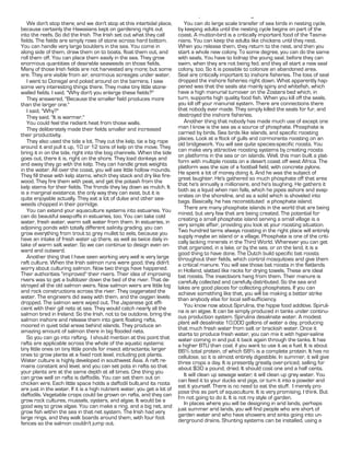 Water in Permaculture - Pamphlet XI - Page 9.
   We don't stop there; and we don't stop at this intertidal place,          You can do large scale transfer of sea birds in nesting cycle,
because certainly the Hawaiians kept on gardening right out               by keeping adults until the nesting cycle begins on part of the
into the reefs. So did the Irish. The Irish set out what they call        coast. A mutton-bird is a critically important food of the Tasma-
fields. The fields are simply rows of stone across hard bottom.           nians. You can keep the adults like chickens until they nest.
You can handle very large boulders in the sea. You come in                When you release them, they return to the nest, and then you
along side of them, draw them on to boats, float them out, and            start a whole new colony. To some degree, you can do the same
roll them off. You can place them easily in the sea. They grow            with seals. You have to kidnap the young seal, before they can
enormous quantities of desirable seaweeds on those fields.                swim, when they are not being fed, and they all start a new seal
Many of those Irish fields are not harvested any more; but some           colony, too. So it is possible to colonize an abandoned area.
are. They are visible from air, enormous acreages under water.            Seal are critically important to inshore fisheries. The loss of seal
   I went to Donegal and poked around on the barrens. I saw               dropped the inshore fisheries right down. What apparently hap-
some very interesting things there. They make tiny little stone-          pened was that the seals ate mainly spiny and whitefish, which
walled fields. I said, "Why don't you enlarge these fields?"              have a high manurial turnover on the                bed which, in
   They answered, "Because the smaller field produces more                turn, supports high quality food fish. When you kill off the seals,
than the larger one."                                                     you kill off your manurial system. There are connections there
   I said, "Why?"                                                         that nobody ever made. They simply killed the seals for fur, and
   They said, "It is warmer."                                             destroyed the inshore fisheries.
   You could feel the radiant heat from those walls.                         Another thing that nobody has made much use of except one
   They deliberately made their fields smaller and increased              man I know is the sea as a source of phosphate. Phosphate is
their productivity.                                                       carried by birds. Sea birds like islands, and specific roosting
                                                                          places. Look at a flock of gulls and cormorants roosting on an
   They also used the tide a lot. They cut the kelp, tie a big rope       old bridgework. You will see quite species-specific roosts. You
around it and pull it up, 10 or 12 tons of kelp on the move. They         can make very attractive roosting systems by creating roosts
bring it in on the tide, right into the bog channels. When the tide       on platforms in the sea or on islands. Well, this man built a plat-
goes out, there it is, right on the shore. They load donkeys and          form with multiple roosts on a desert coast off west Africa. The
and away they go with the kelp. They can handle great weights             platform was the size of a football field, with concrete pylons.
in the water. All over the coast, you will see little hollow mounds.      He spent a lot of money doing it. And he was the subject of
They fill these with kelp stems, which they stack and dry like fire-      great laughter. He's gathered so much phosphate off that area
wood. They fire them with peat, and get the potash from the               that he's annually a millionaire, and he's laughing. He gathers it
kelp stems for their fields. The fronds they lay down as mulch. It        both as a liquid when rain falls, which he pipes ashore and evap-
is a marginal existence, the only way they can exist, but it is           orates on the shoreline, and as a solid which is shoveled into
quite enjoyable actually. They eat a lot of dulse and other sea-          bags. Basically, he has reconstituted a phosphate island.
weeds chopped in their porridge.
                                                                             There are many phosphate islands in the world that are being
   You can extend your aquaculture systems into estuaries. You            mined, but very few that are being created. The potential for
can do beautiful swap-offs in estuaries, too. You can take cold           creating a small phosphate island serving a small village is a
water, fresh water, warm salt water from them. In estuaries, in           very simple affair, providing you look at your roosting situation.
adjoining ponds with totally different salinity grading, you can          Two hundred terns always roosting in the right place will entirely
grow everything from trout to grey mullet to eels, because you            supply maybe an island or a village. Phosphate is one of the criti-
have an intake of fresh water up there, as well as twice daily in-        cally lacking minerals in the Third World. Wherever you can get
take of warm salt water. So we can continue to design even on-            that organized, in a lake, or by the sea, or on the land, it is a
ward and outward.                                                         good thing to have done. The Dutch build specific bat roosts
   Another thing that I have seen working very well is very large         throughout their fields, which control mosquitoes and give them
raft culture. When the Irish salmon runs were good, they didn't           a critical manure. You will see those bat roosts in the flatlands
worry about culturing salmon. Now two things have happened.               in Holland, slatted like racks for drying towels. These are ideal
Their authorities "improved" their rivers. Their idea of improving        bat roosts. The insectivors hang from them. Their manure is
rivers was to get a bulldozer down the bed of the river. That de-         carefully collected and carefully distributed. So the sea and
stroyed all the old salmon weirs. Now salmon weirs are little log         lakes are good places for collecting phosphates. If you can
and rock constructions across the river. They oxygenated the              achieve something like that, you will be making a better strike
water. The engineers did away with them, and the oxygen levels            than anybody else for local self-sufficiency.
dropped. The salmon were wiped out. The Japanese got effi-                   You know now about               , the hippie food additive.
cient with their gill nets at sea. They would catch nearly all the            is an algae. It can be simply produced in tanks under continu-
salmon bred in Ireland. So the Irish, not to be outdone, bring the        ous production system.                desalinate water. A modest
salmon inshore and release them into giant floating rafts,                plant will desalinate 10,000 gallons of water a day, producing
moored in quiet tidal areas behind islands. They produce an               that much fresh water from salt or brackish water. Once it
amazing amount of salmon there in big flooded nets.                       starts to produce fresh water, you can mix it with hyper-saline
   So you can go into rafting. I should mention at this point that        water coming in and put it back again through the tanks. It has
rafts are applicable across the whole of the aquatic systems:             a higher BTU than coal, if you want to use it as a fuel. It is about
tiny little ones on tiny little ponds for insect attractants; larger      86% total protein, of which 68% is a complete protein. It has no
ones to grow plants at a fixed root level, including pot plants.          cellulose, so it is almost entirely digestible. In summer, it will give
Water culture is highly developed in southwest Asia. A raft re-           three crops a day. It is presently greatly over-priced, selling for
mains constant and level, and you can set pots in rafts so that           about $30 a pound, dried. It should cost one and a half cents.
your plants are at the same depth at all times. One thing you                It will clean up sewage water; it will clean up grey water. You
can grow well on rafts is daffodils. You can set them out on              can feed it to your ducks and pigs, or turn it into a powder and
chicken wire. Each little space holds a daffodil bulb,and its roots       eat it yourself. There is no need to eat the stuff. I merely pro-
are just in the water. If it is a high nutrient water, you get a lot of   pose this as part of aquaculture. It is very promising, I think. But
daffodils. Vegetable crops could be grown on rafts, and they can          I'm not going to do it. It is not my style of garden.
grow rock cultures, mussels, oysters, and algae. It would be a               In places where you will be designing in arid lands, perhaps
good way to grow algae. You can make a ring, and a big net, and           just summer arid lands, you will find people who are short of
grow fish within the sea in that net system. The Irish had very           garden water and who have showers and sinks going into un-
large rings, and they walk boards around them, with four foot             derground drains. Shunting systems can be installed, using a
fences so the salmon couldn't jump out.
 