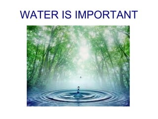 WATER IS IMPORTANT
 