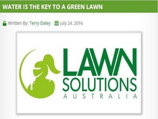 Water Is The Key To A Green Lawn